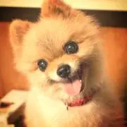 にゃおまま
