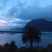 はらぺこあおむし