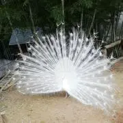 すずの画像
