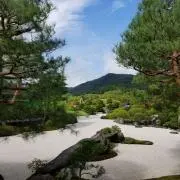 ぞうさんの画像