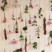 Ｒi i ☺︎の画像