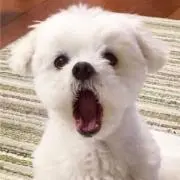 なぴ