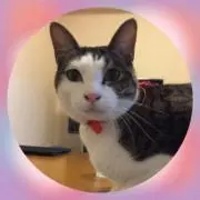 もんたろうの画像