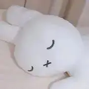 きなこの画像