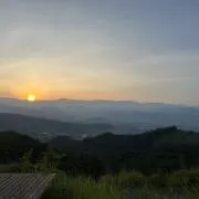 めるるんの画像