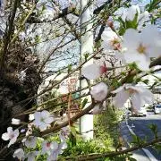 迅速対応！信頼のすずちゃん商店の画像