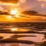 star_gold_