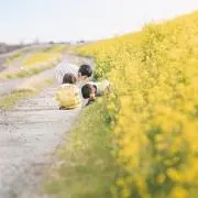 rootzの画像
