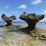 マメタン