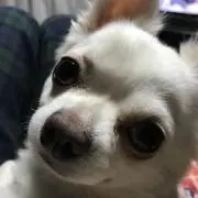プロフ読んで下さい☆garage61y♪の画像