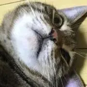 さくん
