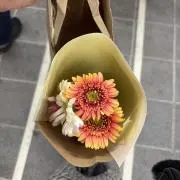 Rの画像