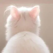 もんたろう