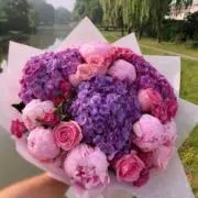 riree ʚଓ⋆の画像