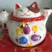 Ponの画像