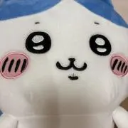ＡＩＲＩの画像
