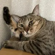 しお○プロフィール確認お願いします
