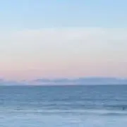 八神の画像