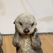 Fmの画像