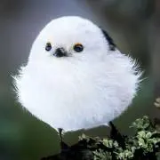 すぎえ