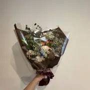 moaの画像