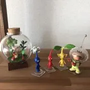 たこの画像