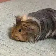 まっさんの画像