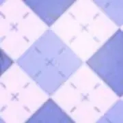 ソースカツの画像