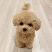 まるる