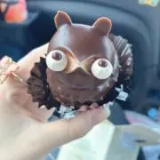 じぜるの画像