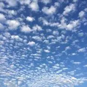 プロフ必読の画像