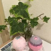 むープロフ必読の画像