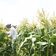 8260の画像