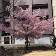 丁寧綺麗❤︎の画像