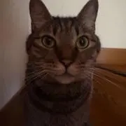 おやまちゃんの画像