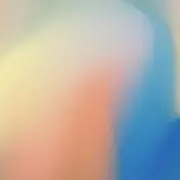 ponの画像