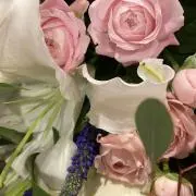 エセルの画像