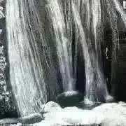 shirasuの画像
