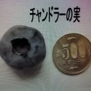 Yorioの画像