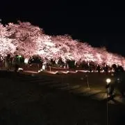 wakoの画像