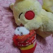 まきんこ。の画像