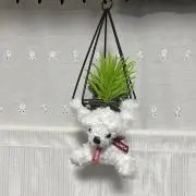bunbun1955