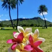 ALOHA