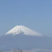 SAYO♪の画像