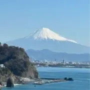 tigerの画像