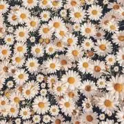 ひと