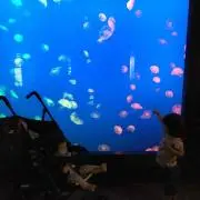 なつき