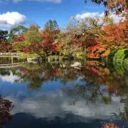りんの画像