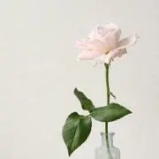 mille（※プロフィール要確認）の画像