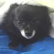 そらママ